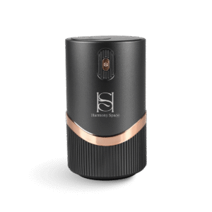 Car Diffuser